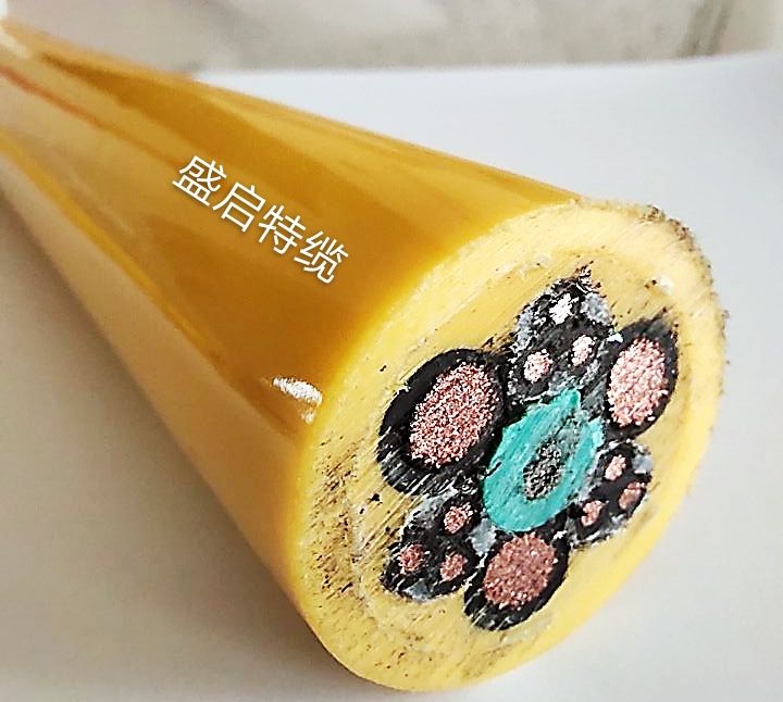 垃圾吊電纜SSQH      3*16+9*1.5